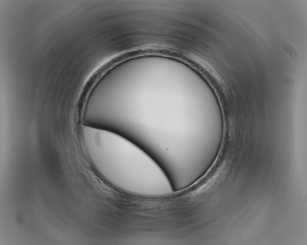 X0000112171021200908070955