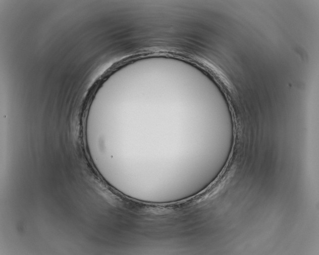 X0000112171023200908070955