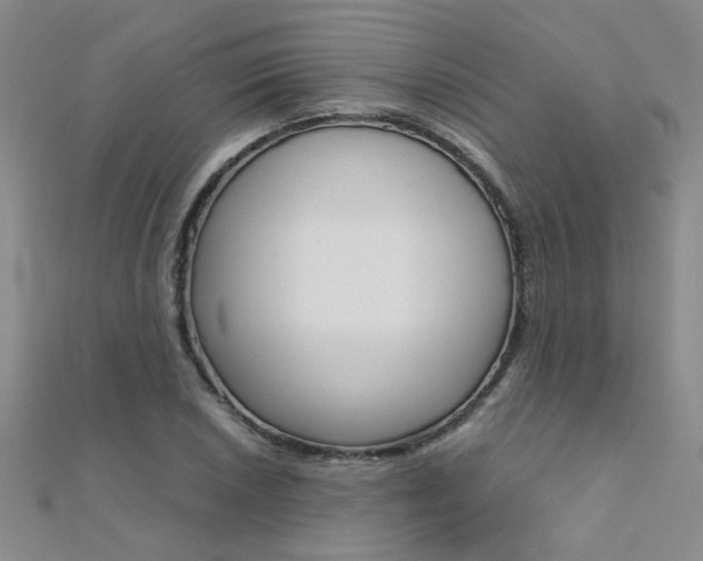 X0000112171026200908070955