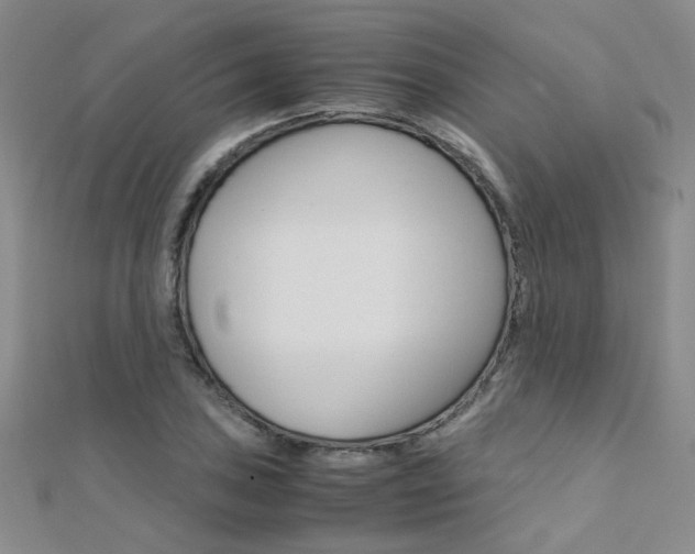 X0000112171027200908070955