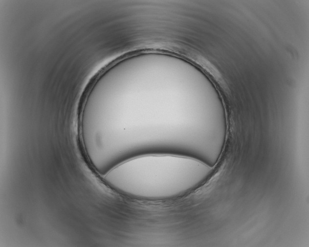 X0000112171028200908070955