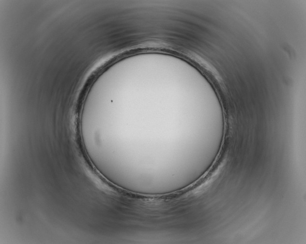 X0000112171029200908070955
