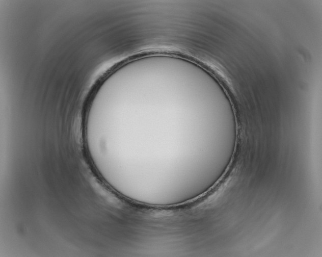 X0000112171030200908070955