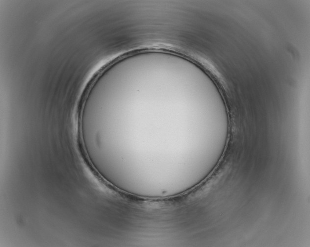 X0000112171032200908070955