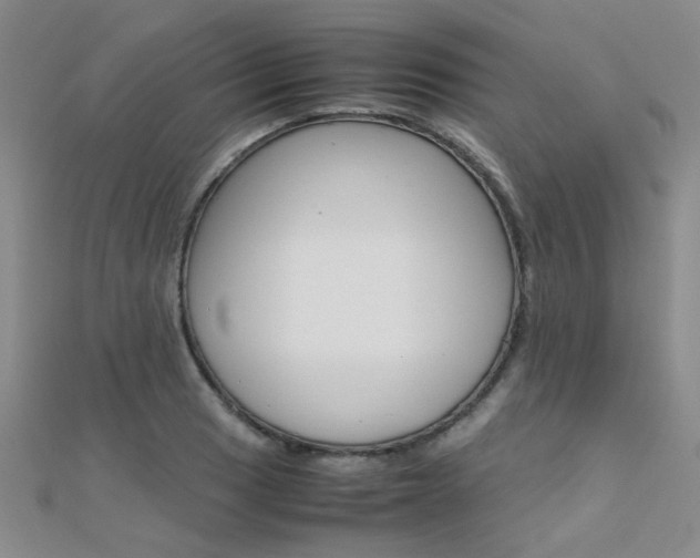 X0000112171033200908070955
