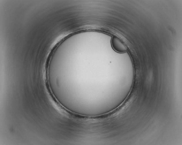 X0000112171034200908070955