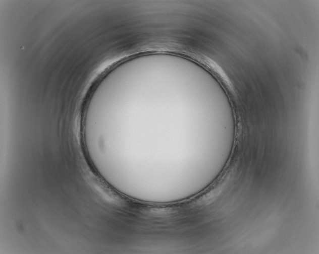 X0000112171035200908070955