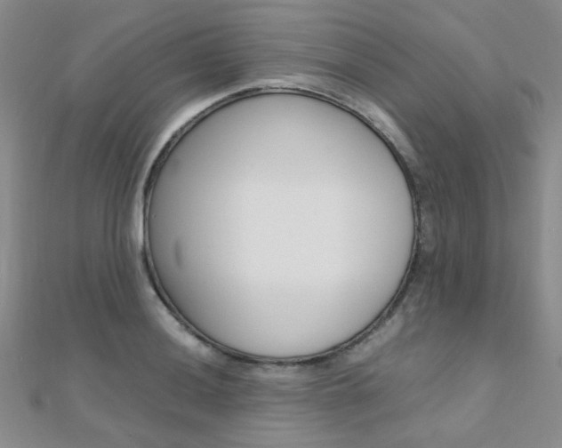 X0000112171036200908070955