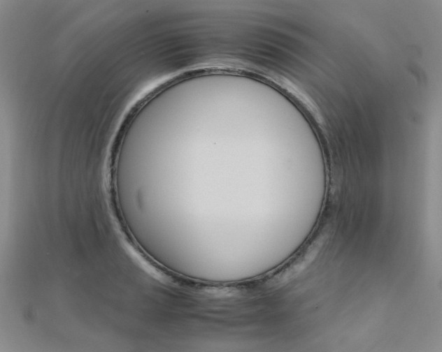 X0000112171037200908070955