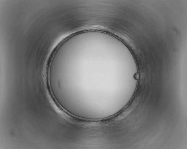 X0000112171038200908070955
