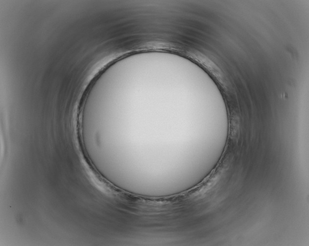 X0000112171039200908070955
