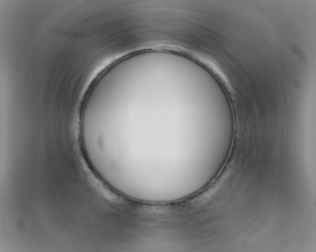 X0000112171040200908070955