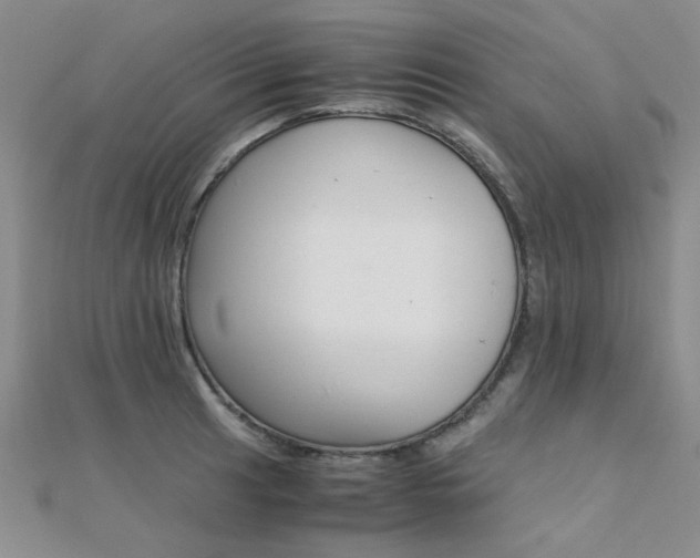 X0000112171041200908070955