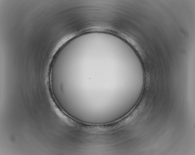 X0000112171042200908070955