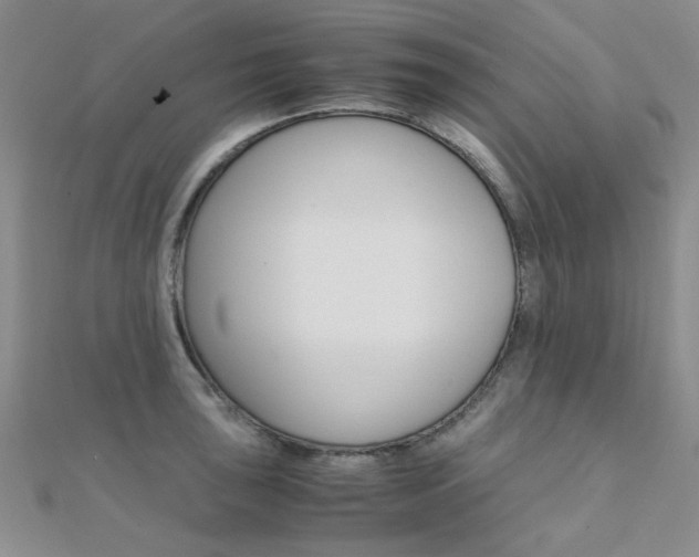 X0000112171043200908070955