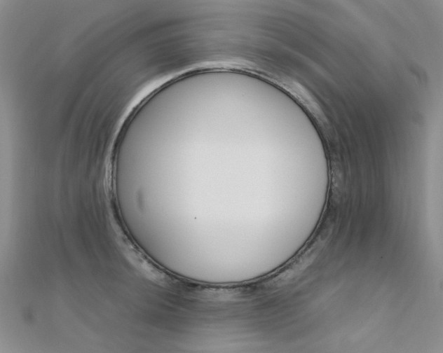 X0000112171044200908070955