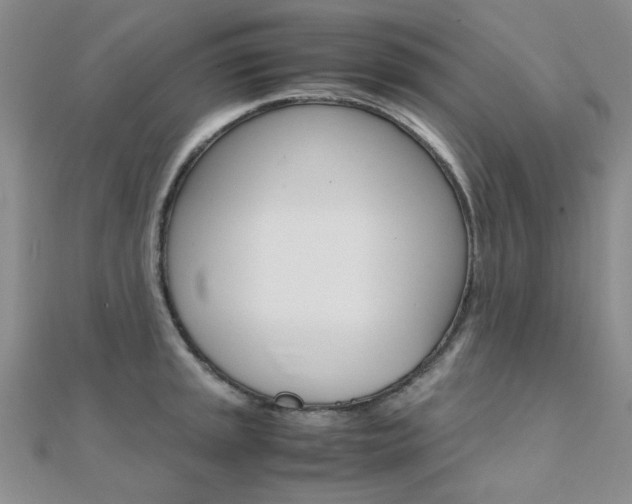 X0000112171045200908070955