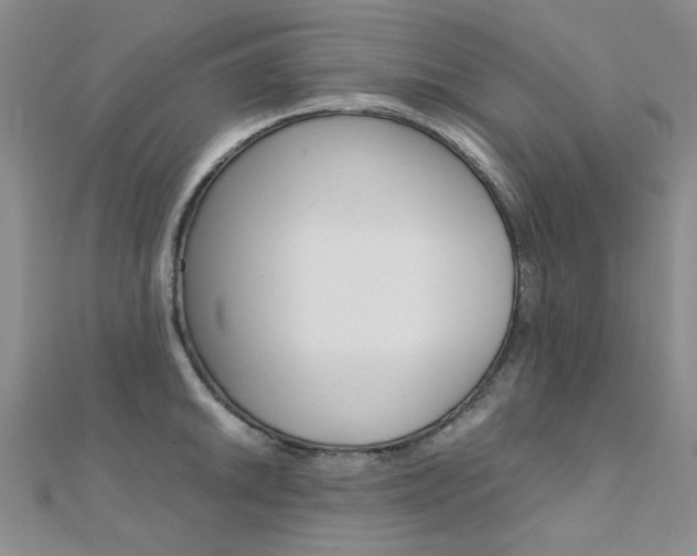 X0000112171046200908070955
