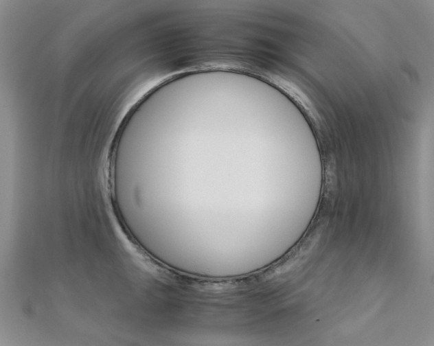 X0000112171047200908070955