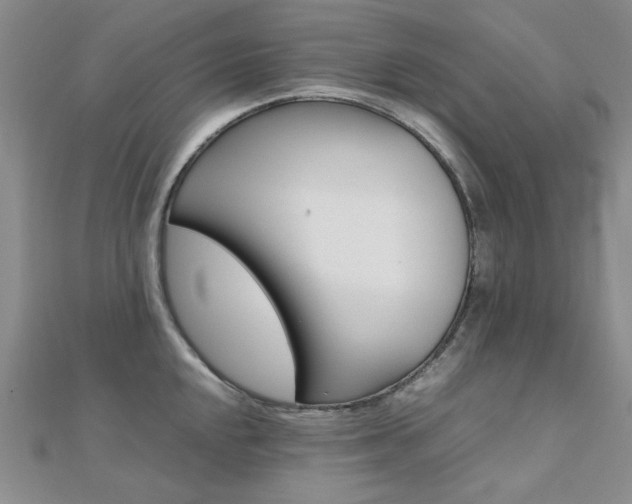 X0000112171048200908070955