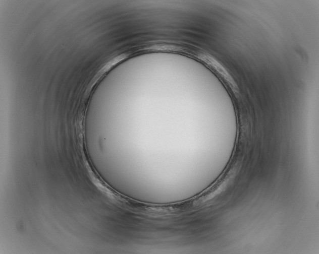 X0000112171049200908070955