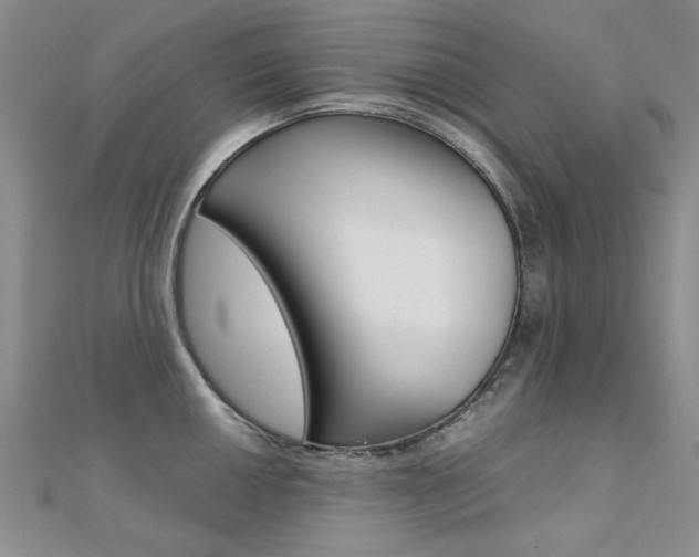 X0000112171050200908070955