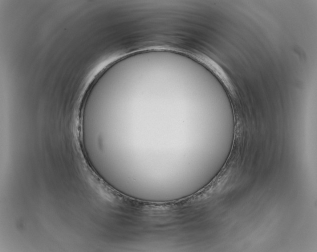 X0000112171051200908070955