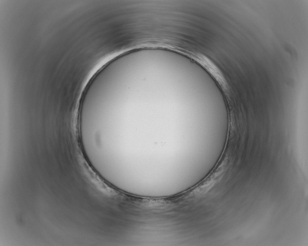 X0000112171052200908070955