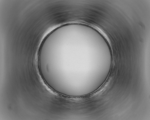X0000112171053200908070955
