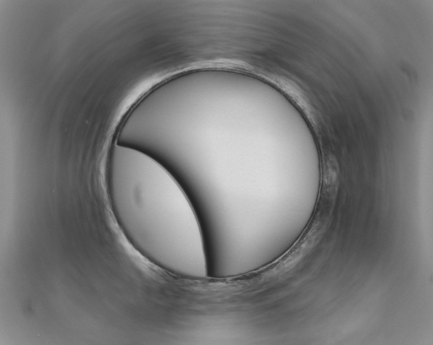 X0000112171054200908070955