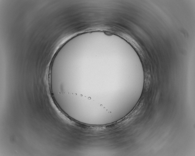 X0000112171055200908070955