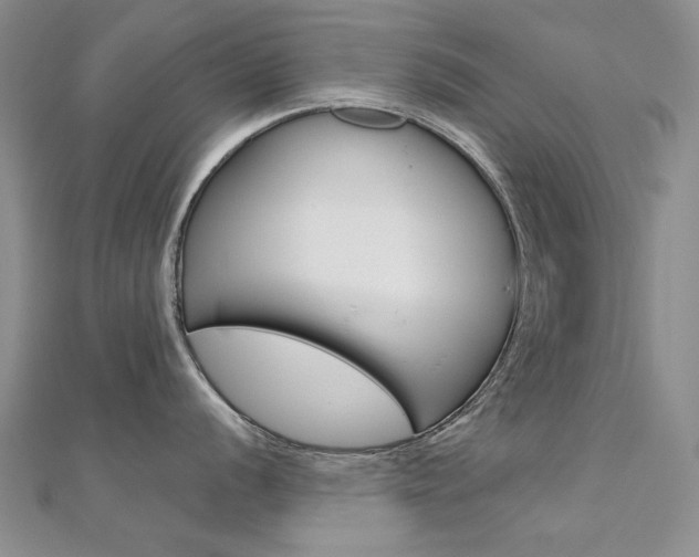 X0000112171056200908070955