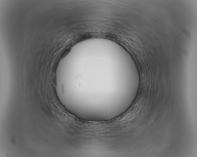 X0000112171057200908070955