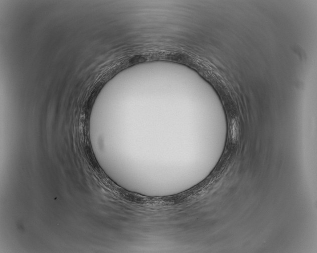 X0000112171059200908070955