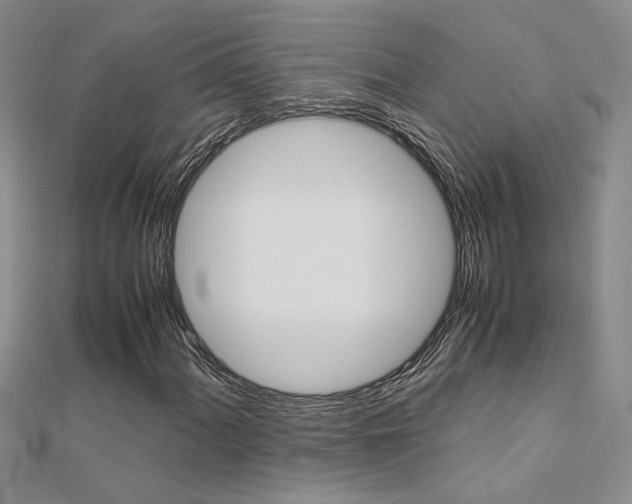 X0000112171060200908070955