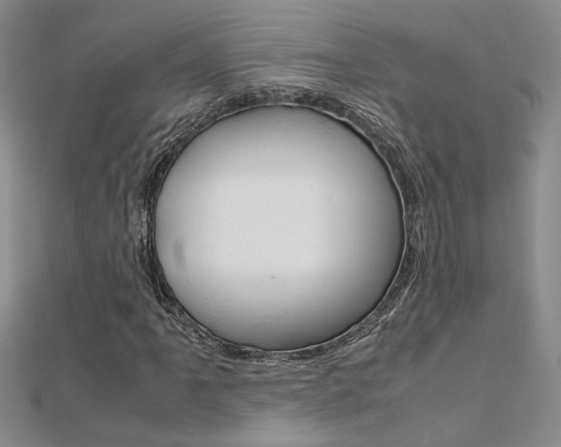 X0000112171061200908070955