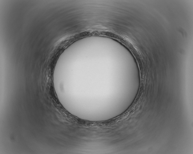 X0000112171063200908070955