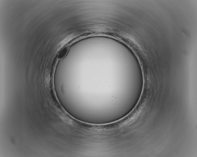 X0000112171065200908070955