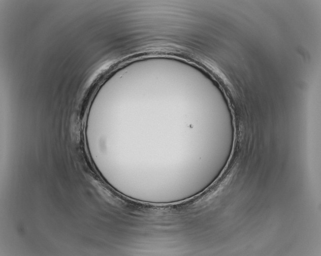 X0000112171067200908070955