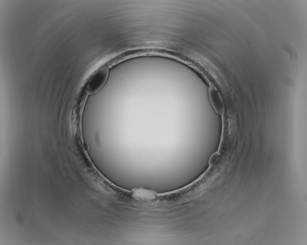 X0000112171069200908070955