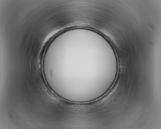 X0000112171070200908070955