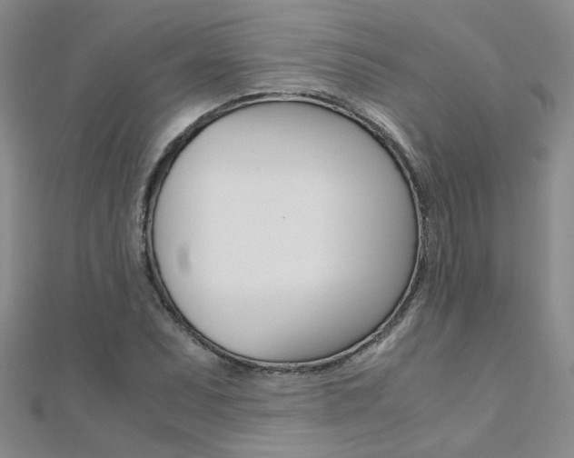 X0000112171071200908070955
