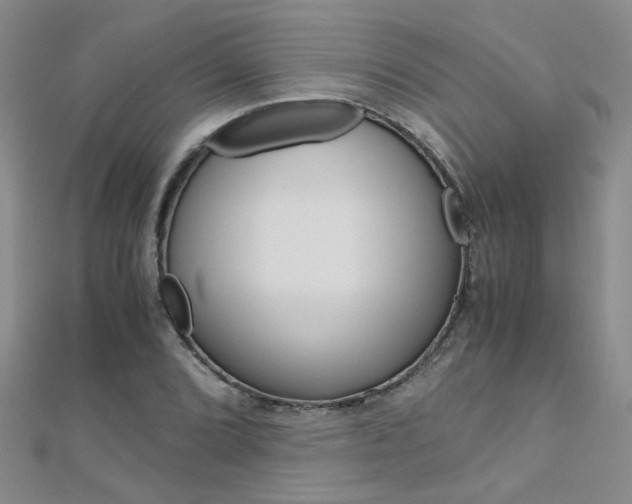 X0000112171072200908070955