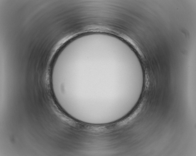 X0000112171074200908070955