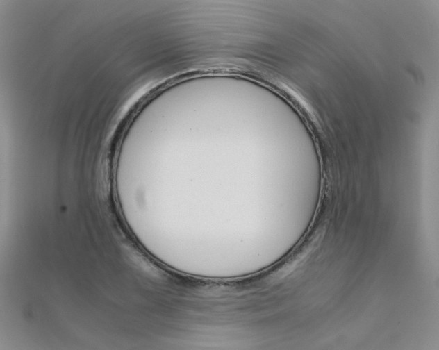 X0000112171075200908070955