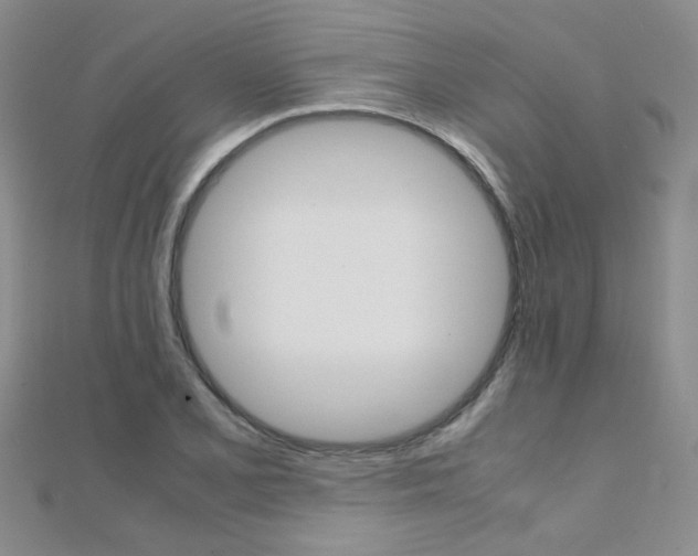 X0000112171077200908070955