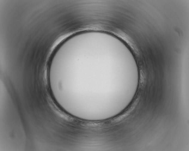 X0000112171078200908070954