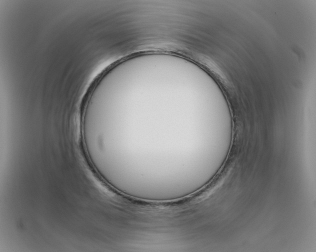 X0000112171079200908070954