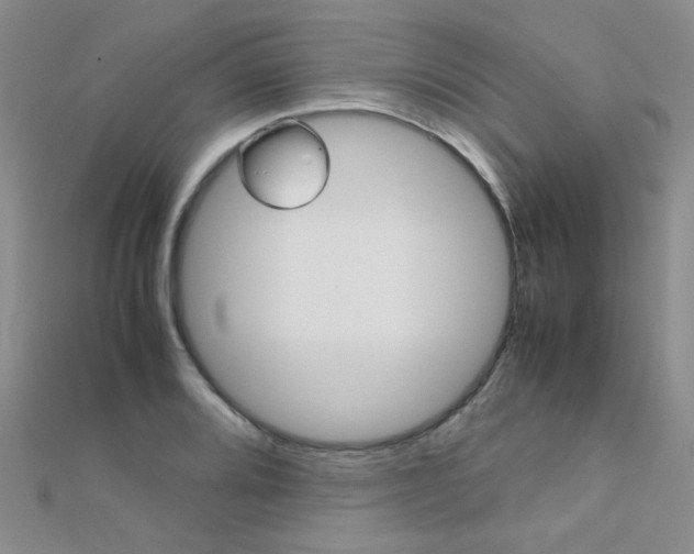 X0000112171080200908070954