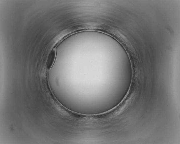 X0000112171081200908070954